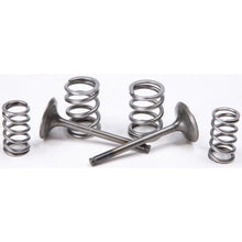 Exhaust Valve Conversion Set Ti Steel Kaw