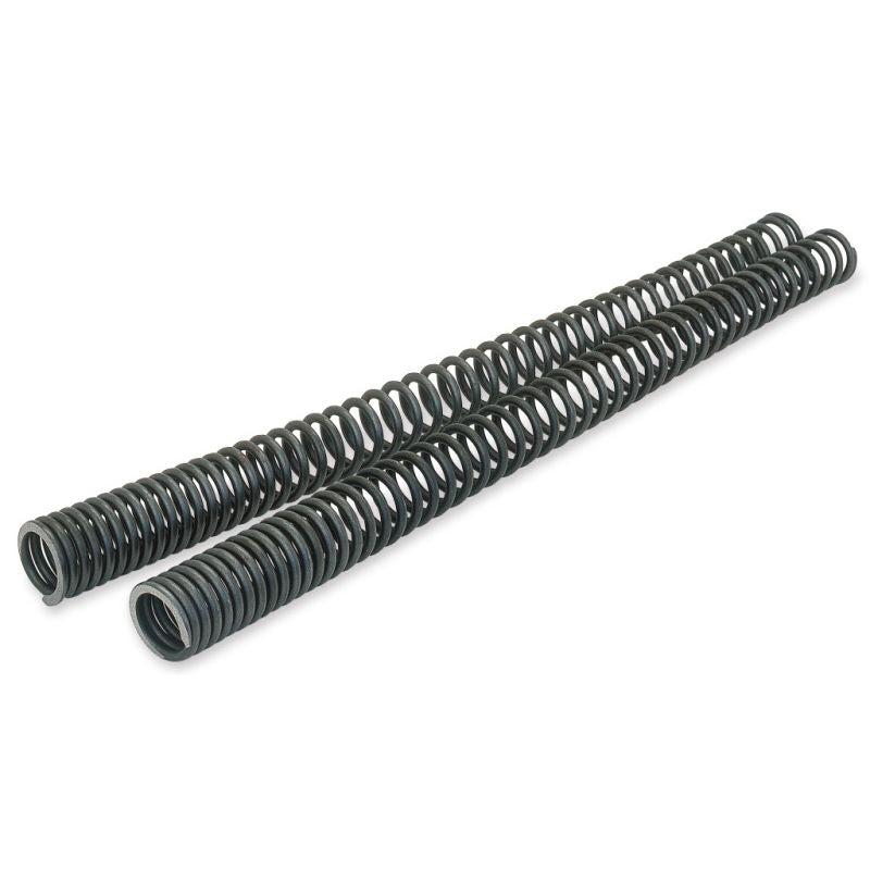 Progressive Fork Spring Kit