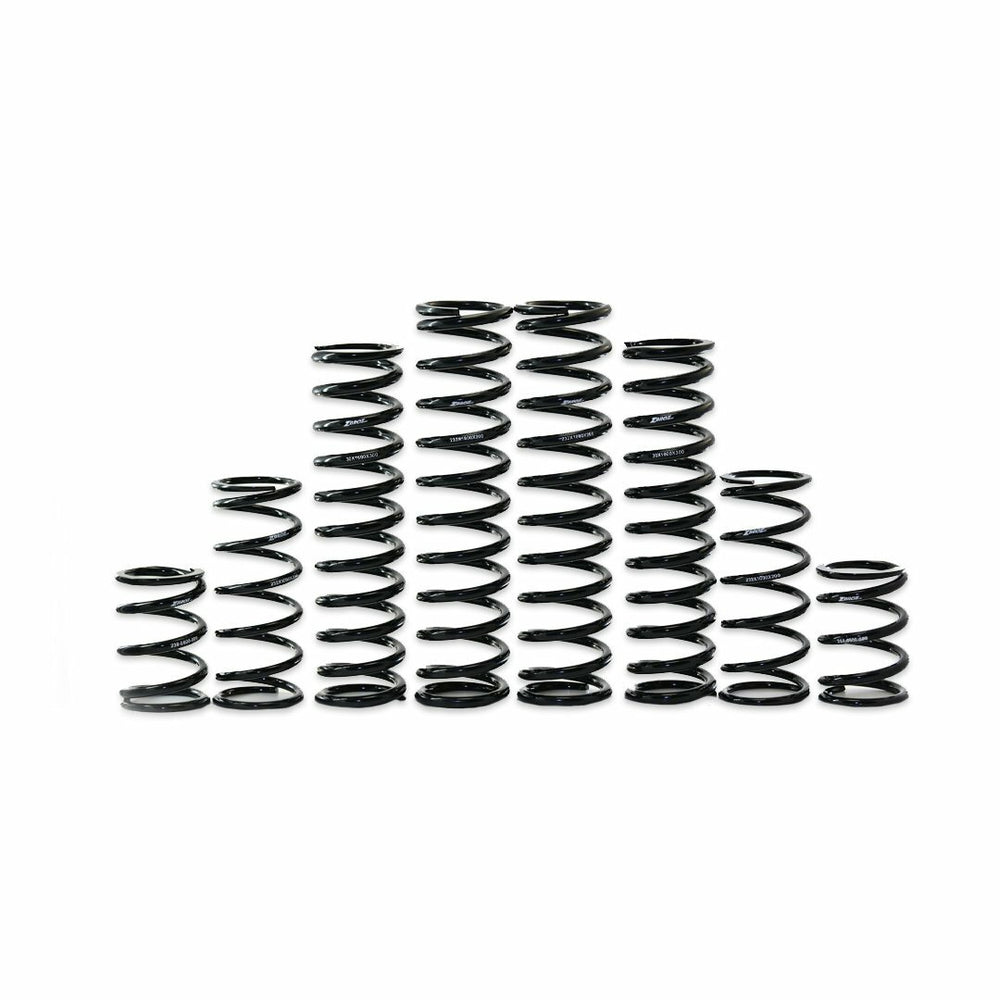 Dual Rate Spring Kit Kaw