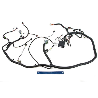 Polaris RZR Chassis Harness, Genuine OEM Part 2411817, Qty 1