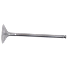Exhaust Valve Titanium