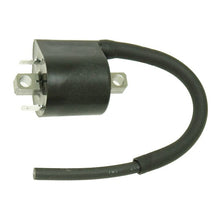 Atv Ignition Coil