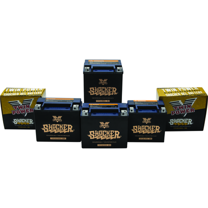 Twin Power YTX-14L Shocker Gel Battery Replaces H-D 65958-04 220 CCA
