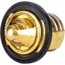 Thermostat W/Gasket Pol