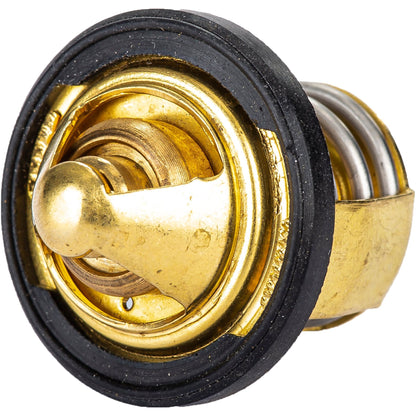 Thermostat W/Gasket Pol