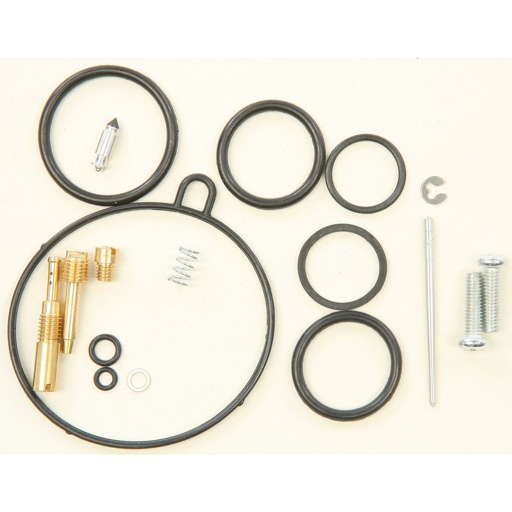 Carburetor Repair Kit