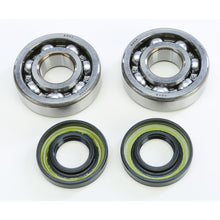 Crankshaft Bearing & Seal Kit Kaw/Suz
