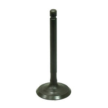 Intake Valve