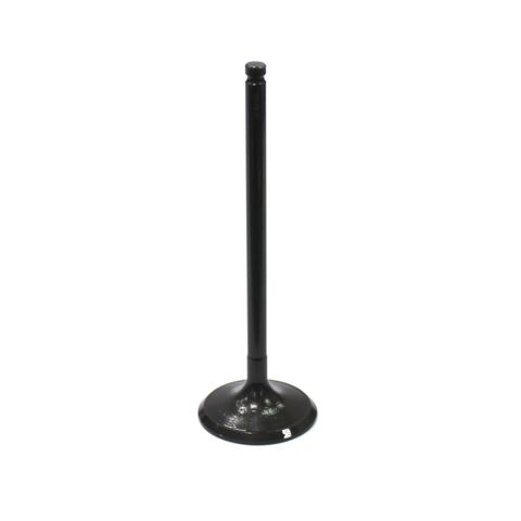 Intake Valve