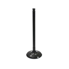 Intake Valve