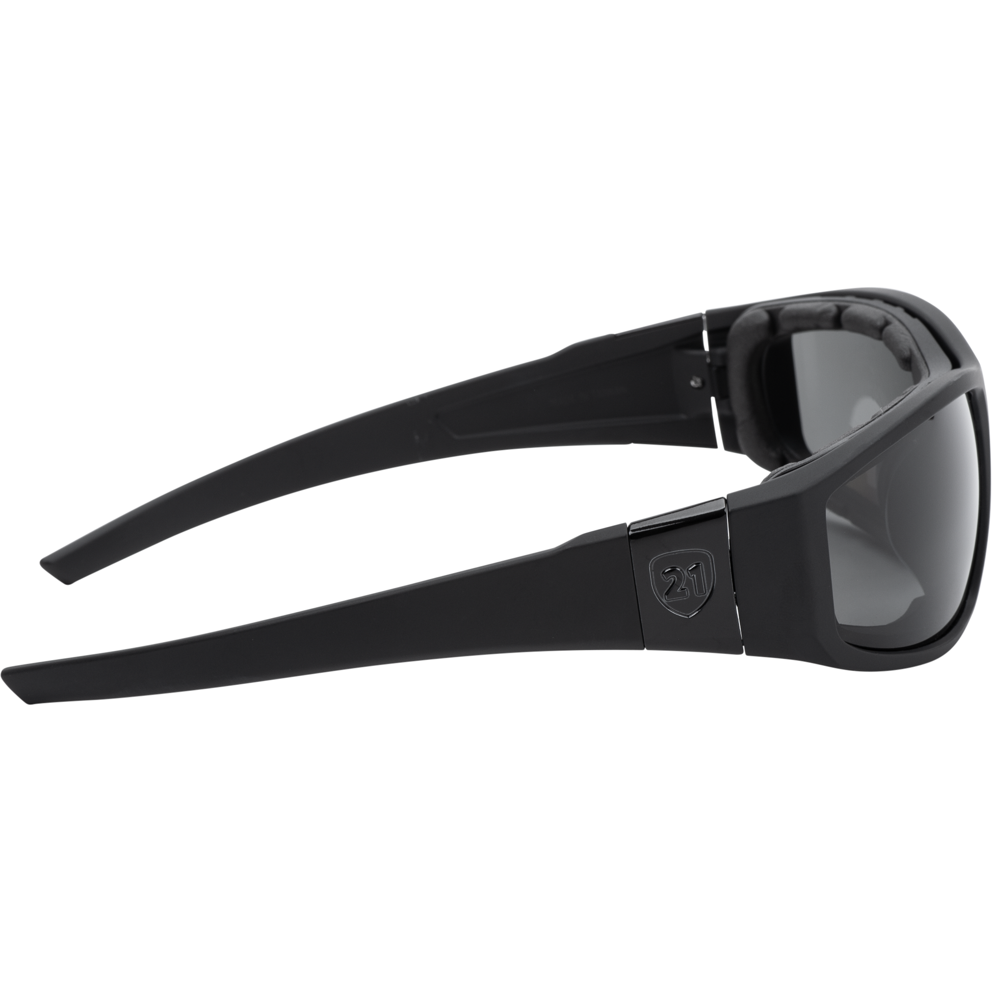 Flatside Hybrid Goggle Black