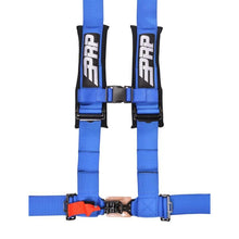 PRP 4.3 Harness- Blue