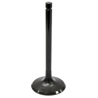 Intake Valve