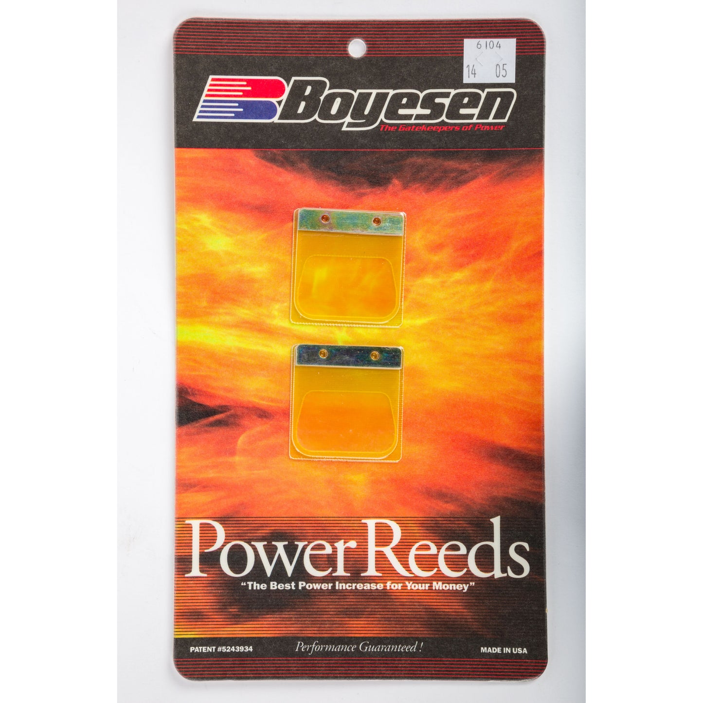 Motorcycle Reeds