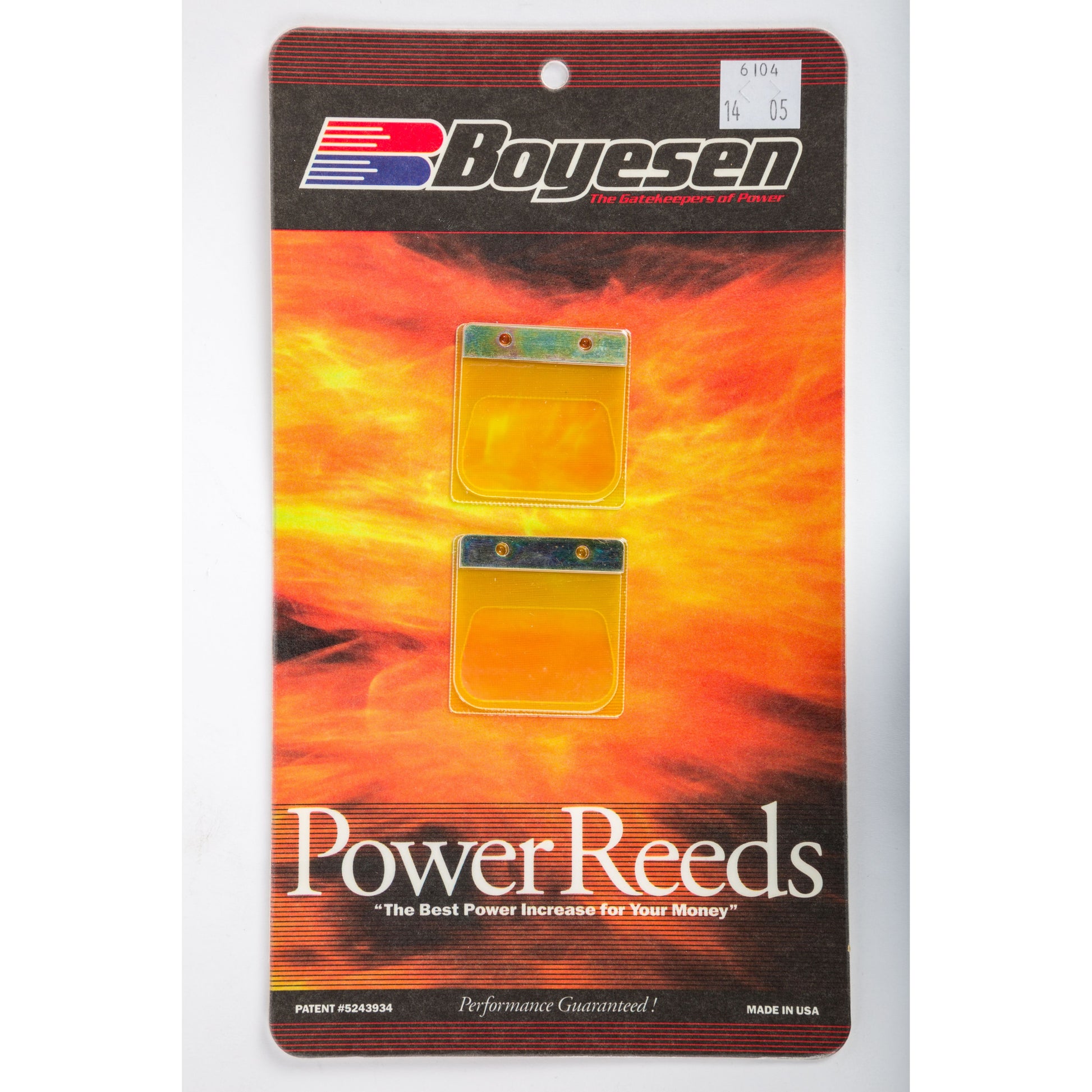 Motorcycle Reeds