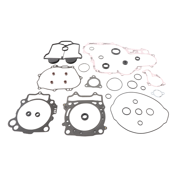 Complete Gasket Set With Oil Seals