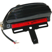 Dyna Led Tailight Smoke Lense