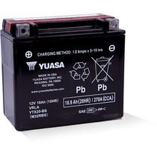 Yuasa YTX20-BS Maintenance Free AGM 12-Volt Battery w/Bottle