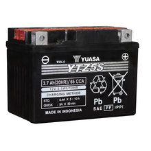 Yuasa YTZ5S-BS Maintenance Free AGM 12-Volt Battery w/Bottle