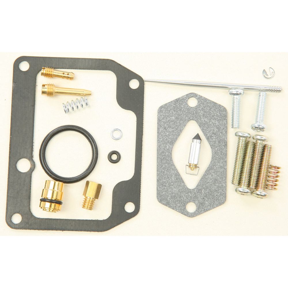 Bike Carburetor Rebuild Kit