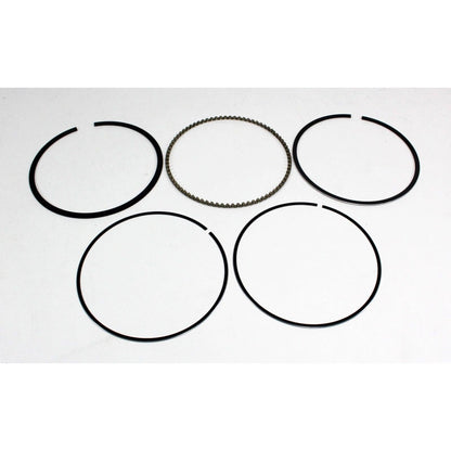 Polaris ATV Piston Rings Kit, Genuine OEM Part 2204959, Qty 1