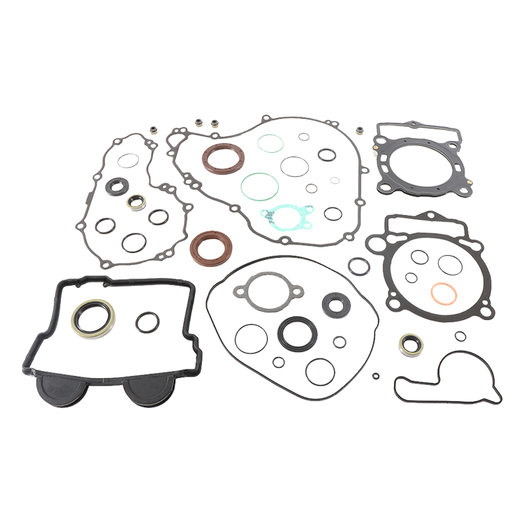 Complete Gasket Set With Oil Seals