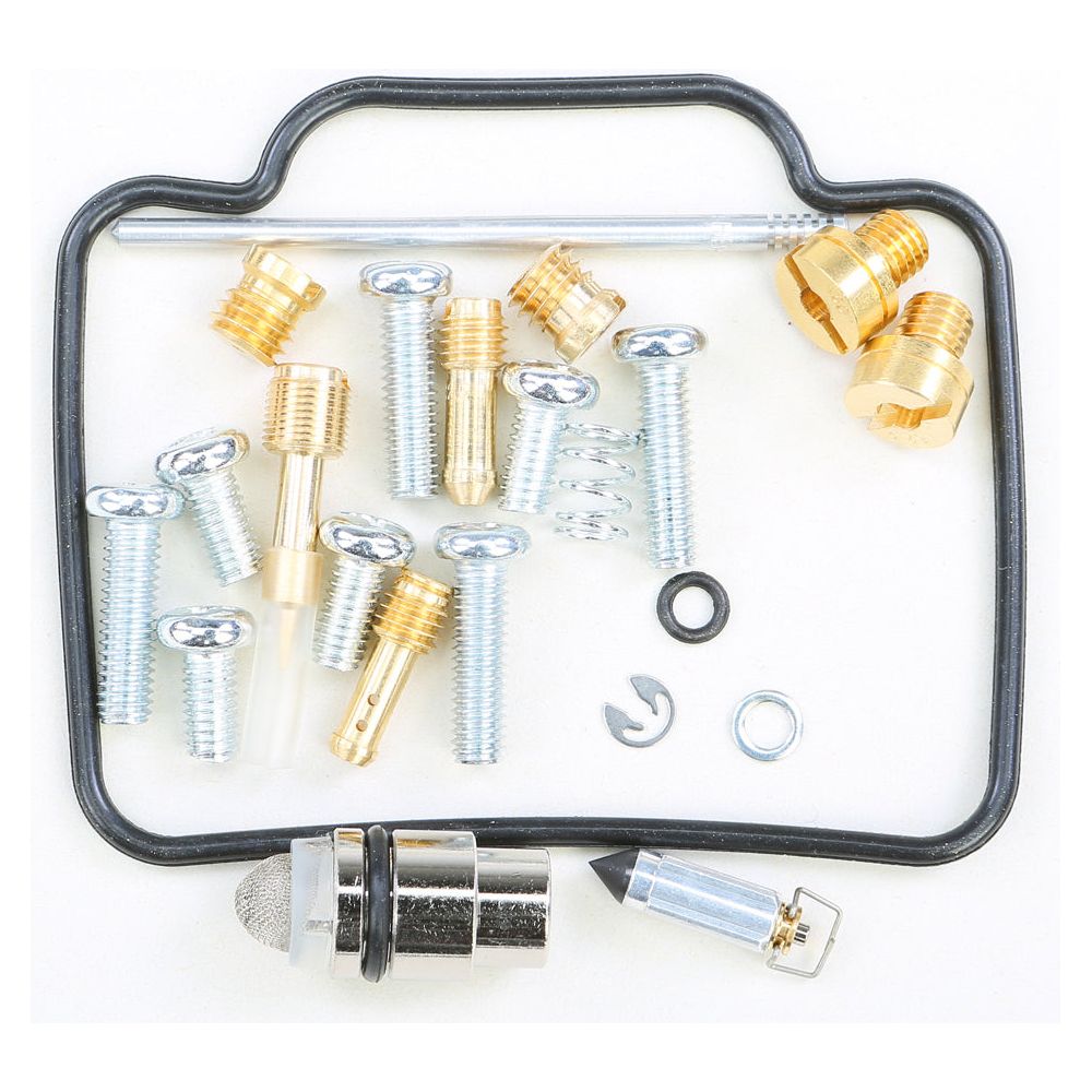 Carburetor Repair Kit