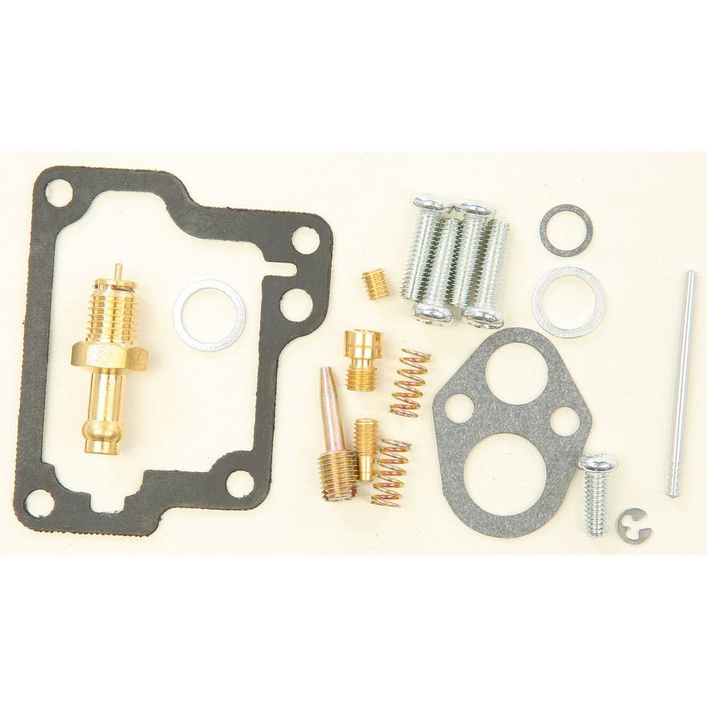 Carburetor Repair Kit