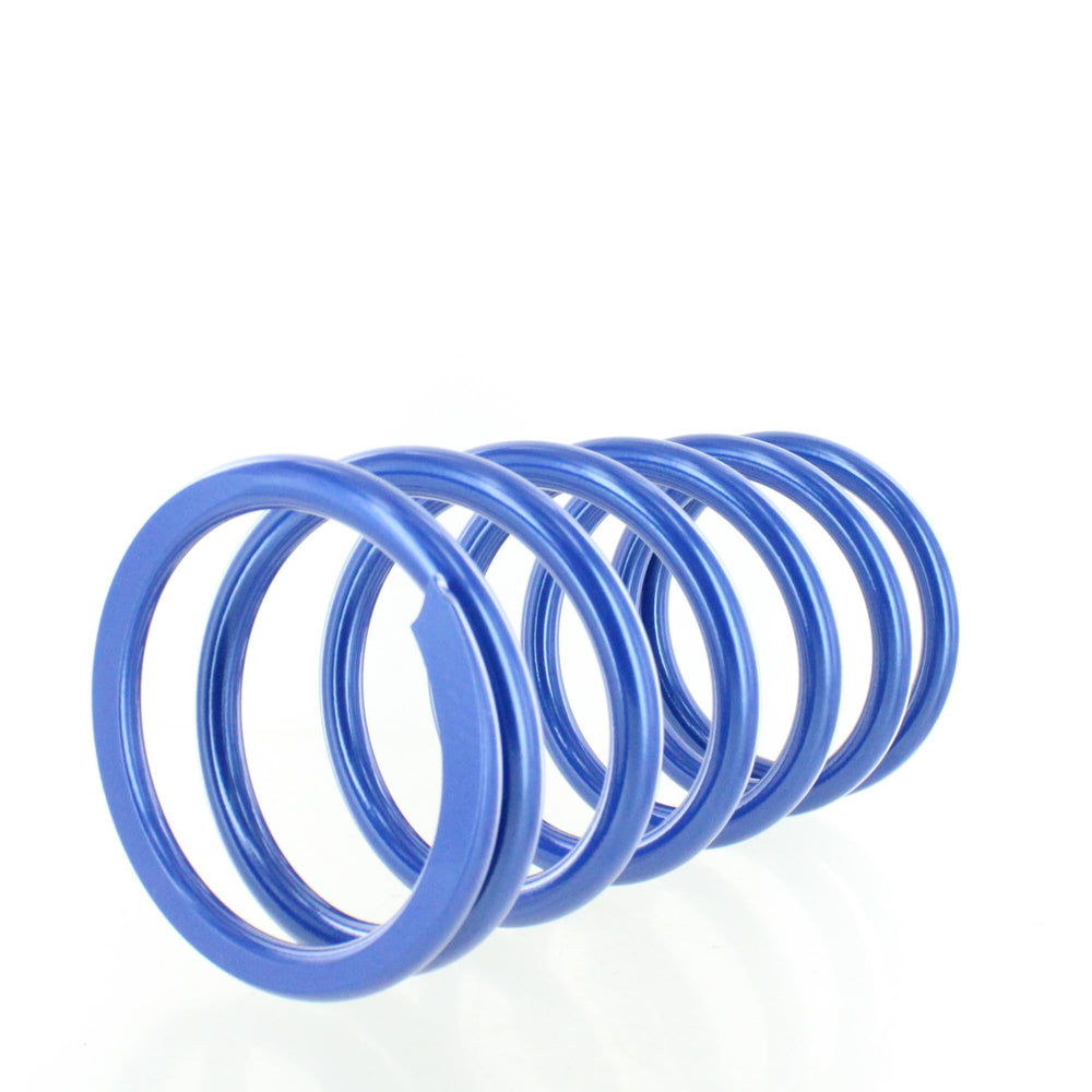 
                      
                        Polaris 2208900-751 Blue Metallic Tender Spring Kit
                      
                    