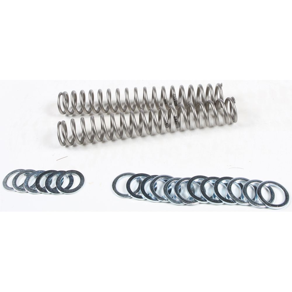 Fork Spring 1.10kg