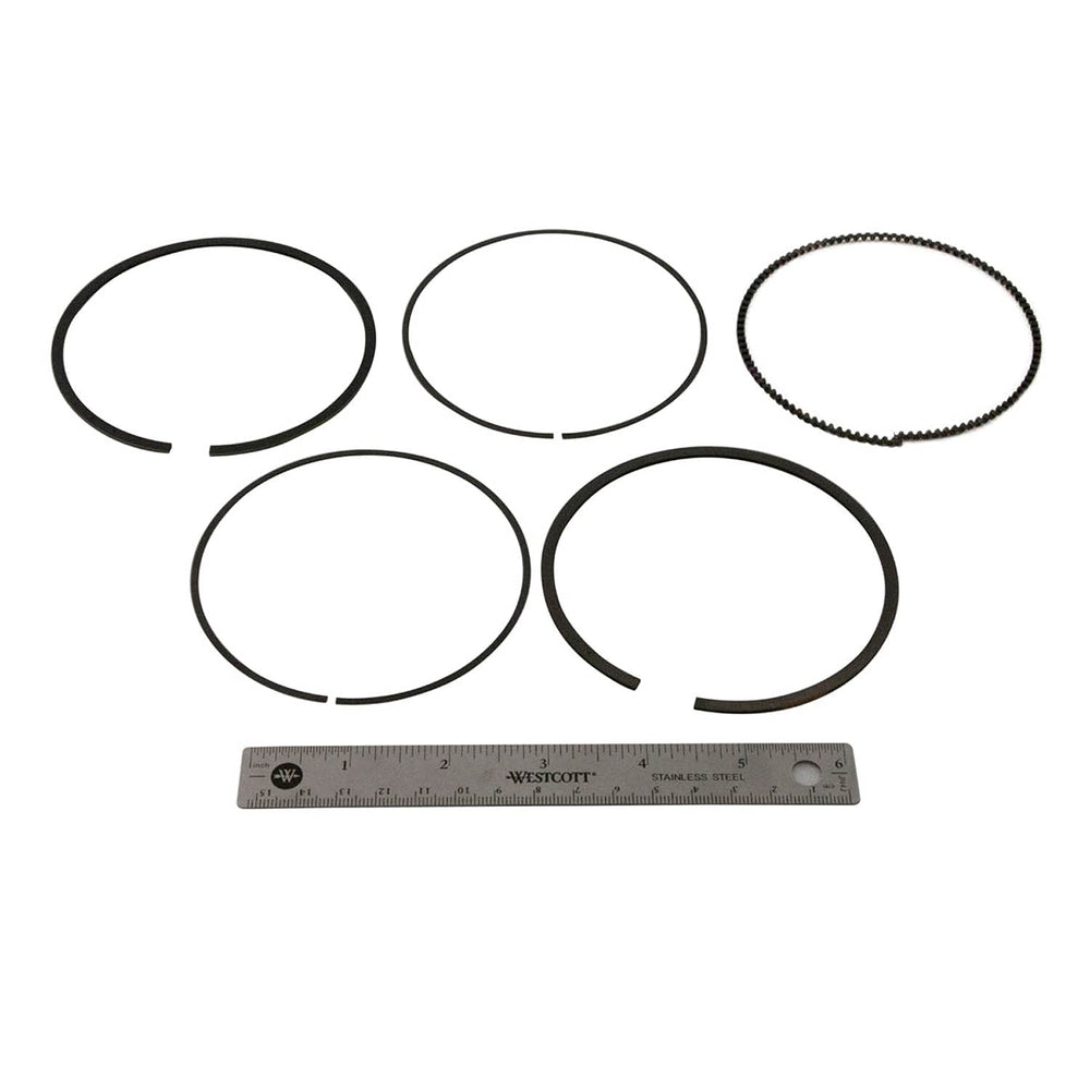 
                      
                        Polaris RZR Piston Rings Kit, Genuine OEM Part 2206217, Qty 1
                      
                    