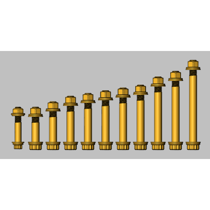 GEISER PERFORMANCE POLARIS PRO R FULL SUSPENSION 12 POINT BOLT KIT