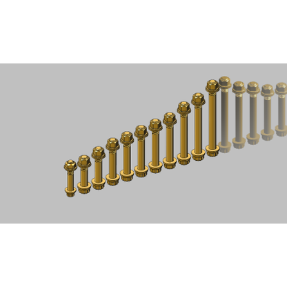 GEISER PERFORMANCE POLARIS PRO R FULL SUSPENSION 12 POINT BOLT KIT