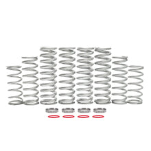 Polaris RZR XP (2024) Dual Rate Spring Kit - RideNow Parts