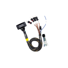 JBL® RCA Output Harness | UTVS-JBL-RC-RCA-OUT