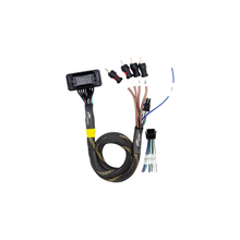 JBL® RCA Output Harness | UTVS-JBL-RC-RCA-OUT