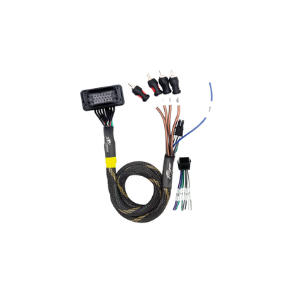 JBL® RCA Output Harness | UTVS-JBL-RC-RCA-OUT