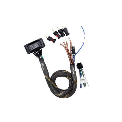 RZR® Pro Series Ride Command Front & Rear RCA Output + Speaker Wire & Remote | UTVS-PRO-RC-RCA-OUT