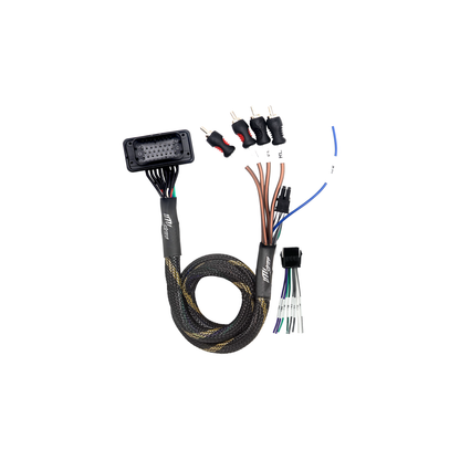 RZR® Pro Series Ride Command Front & Rear RCA Output + Speaker Wire & Remote | UTVS-PRO-RC-RCA-OUT