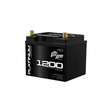 Platinum Series AGM 1200 Battery | UTVS-1200