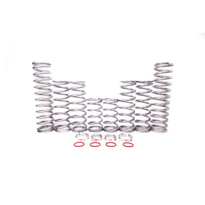 Polaris General XP 1000 Dual Rate Spring Kit
