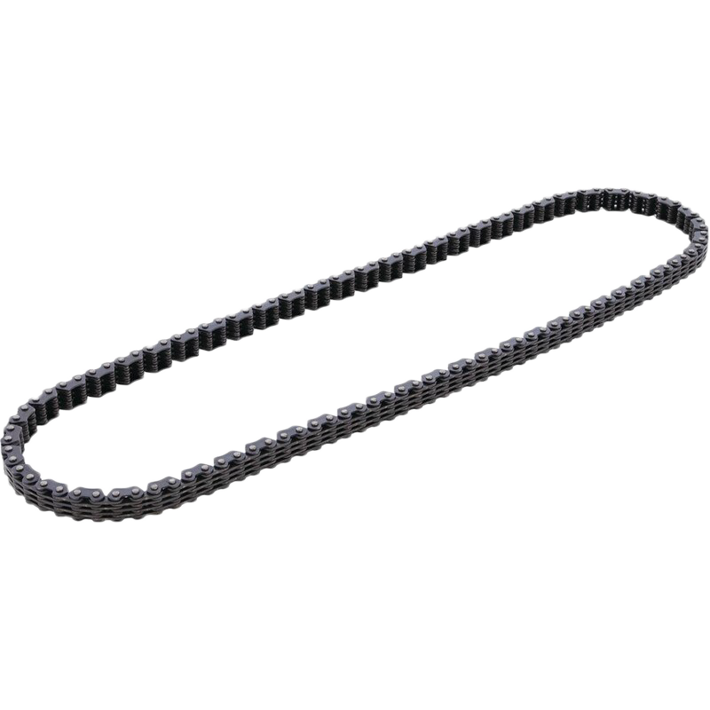 Cam Chain