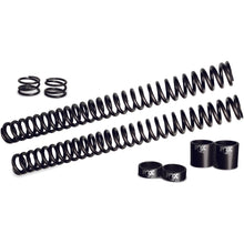 Std Fork Spring Kit 41mm