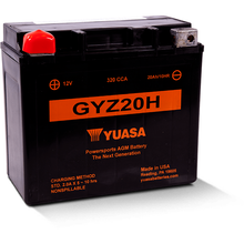Yuasa GYZ20H High Performance Maintenance Free AGM 12-Volt Battery