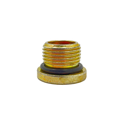 Polaris GEM Socket Head Plug, 18 mm x 1.5 mm, Genuine OEM Part 3234755, Qty 1