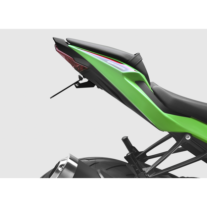 Flat Out Fender Eliminator Kaw