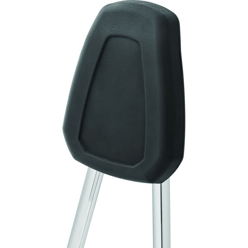 
                      
                        Kuryakyn Sissy Bar For Indian Scout Chrome
                      
                    