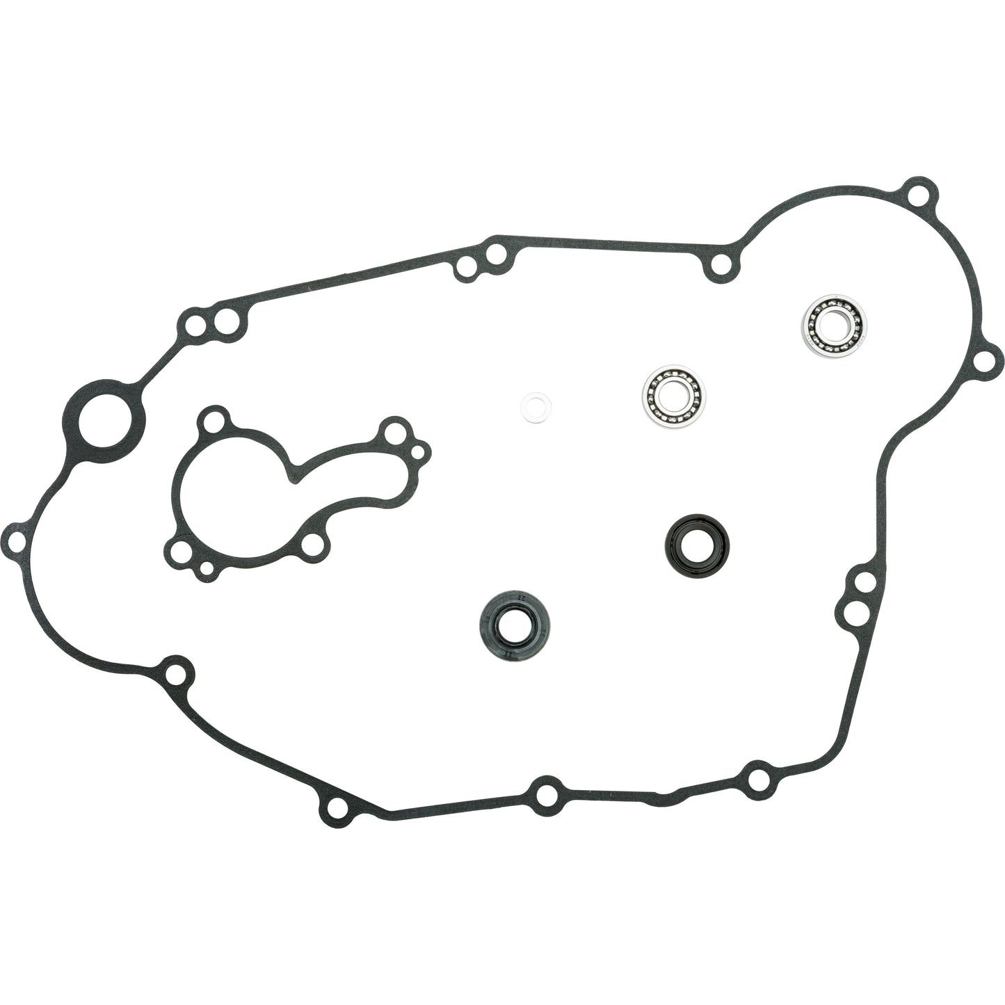 Water Pump Repair Kit W/Bearings Kaw