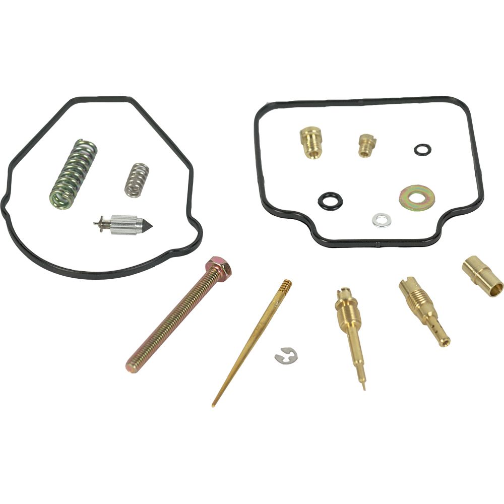 Carburetor Repair Kit