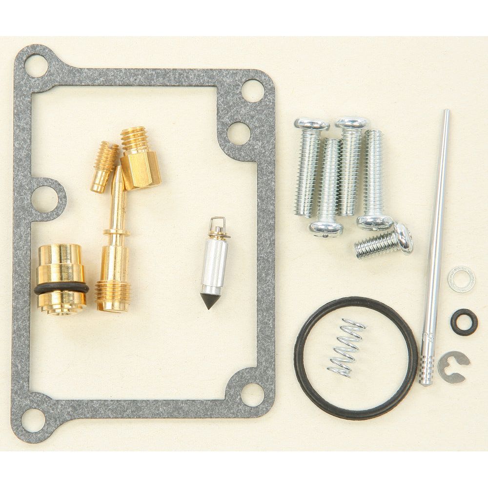 Carburetor Repair Kit